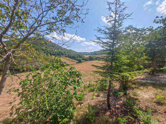 Image No.33-2 Bed Country Property for sale