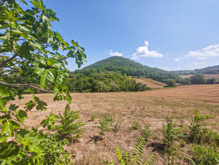 Image No.34-2 Bed Country Property for sale