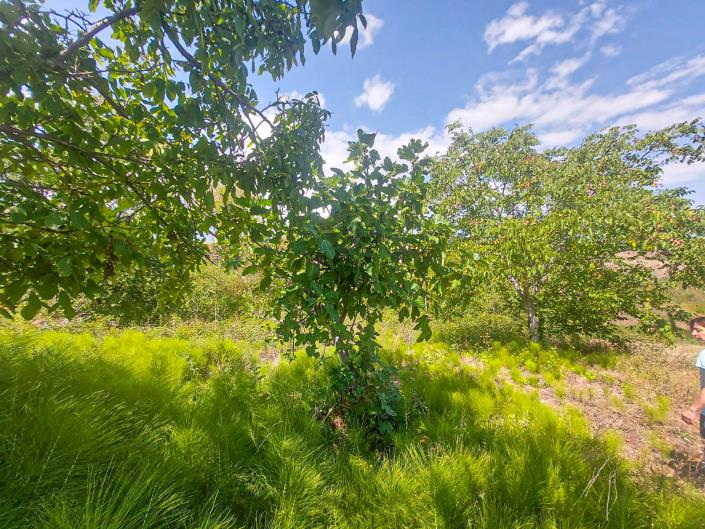 Image No.35-2 Bed Country Property for sale