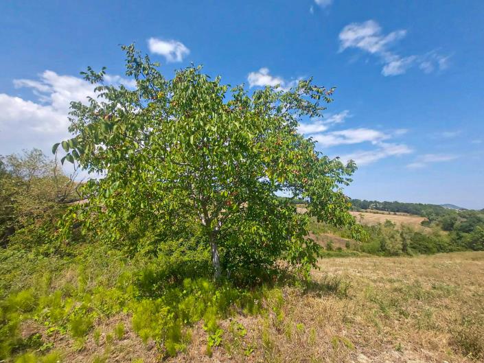 Image No.36-2 Bed Country Property for sale