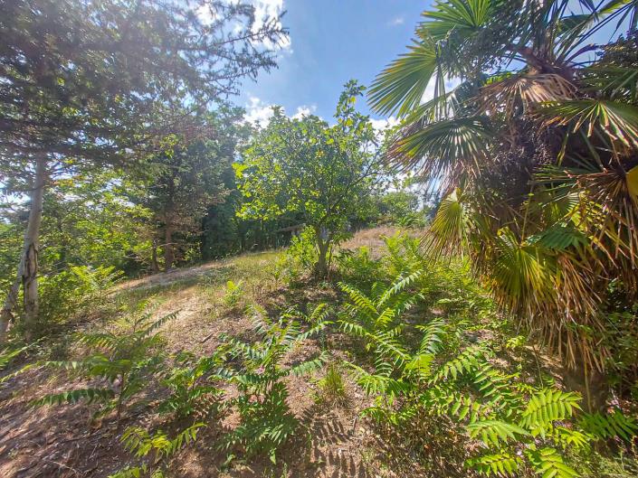 Image No.37-2 Bed Country Property for sale