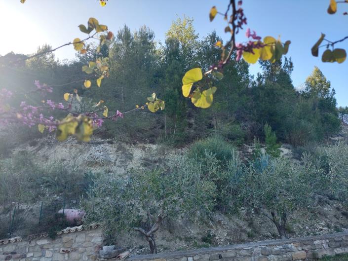 Image No.58-4 Bed Village House for sale