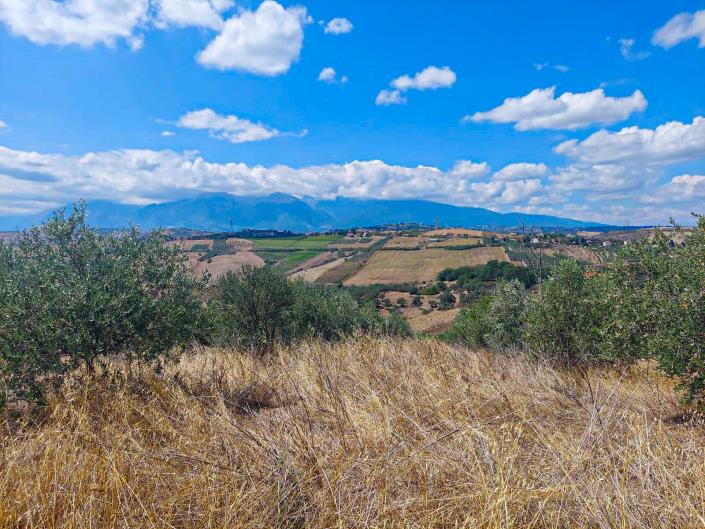 Image No.2-Land for sale