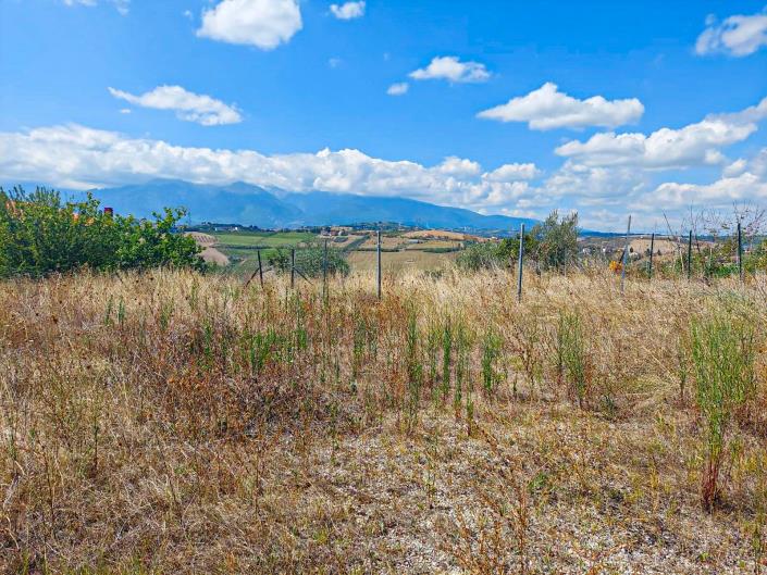 Image No.3-Land for sale