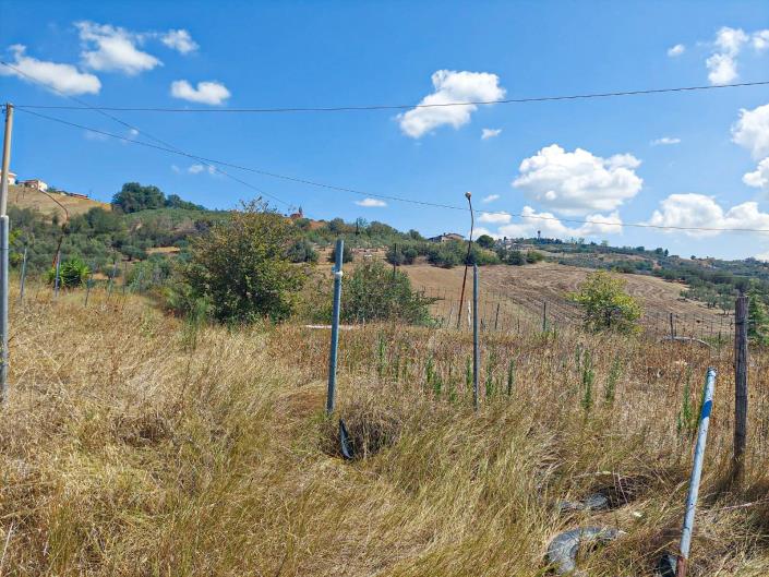 Image No.5-Land for sale