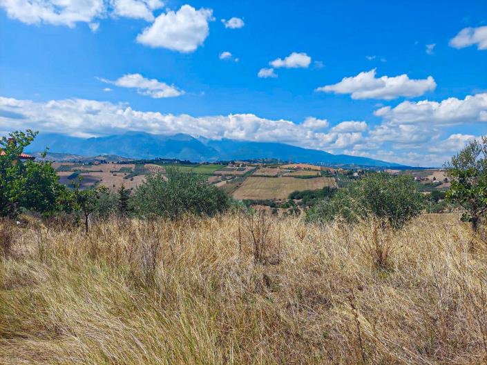 Image No.4-Land for sale