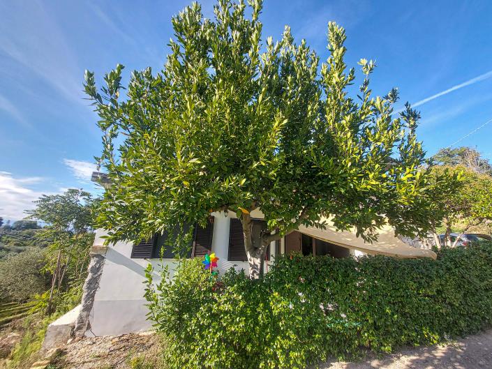 Image No.15-Villa / Détaché de 2 chambres à vendre à Lanciano