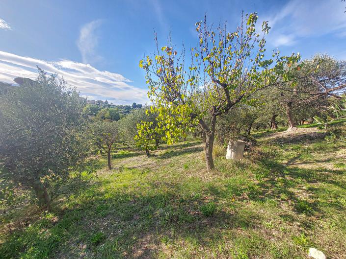 Image No.53-Villa / Détaché de 2 chambres à vendre à Lanciano