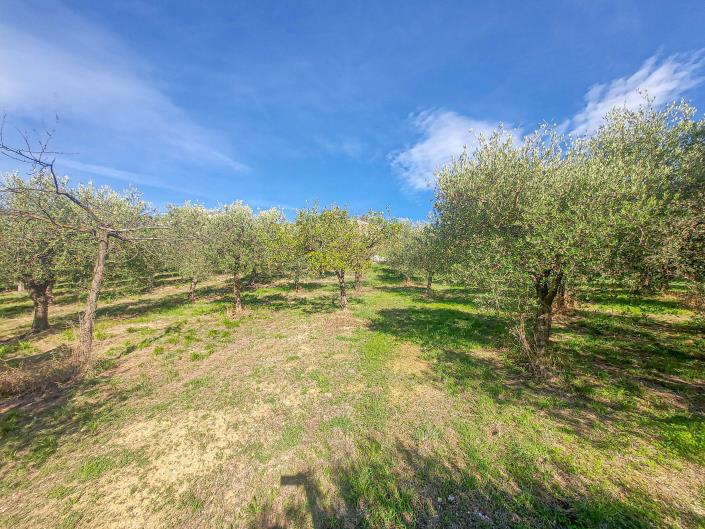 Image No.55-Villa / Détaché de 2 chambres à vendre à Lanciano