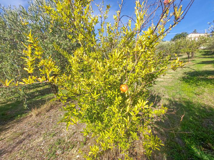 Image No.56-Villa / Détaché de 2 chambres à vendre à Lanciano