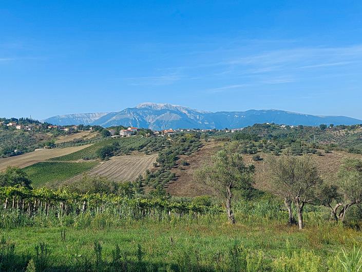 Image No.5-Property for sale