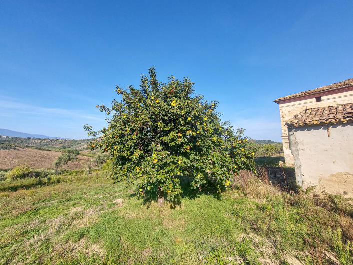 Image No.6-Property for sale