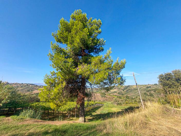 Image No.9-Property for sale