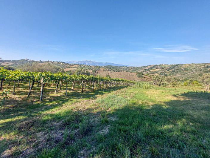 Image No.11-Property for sale