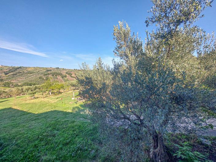 Image No.49-Property for sale