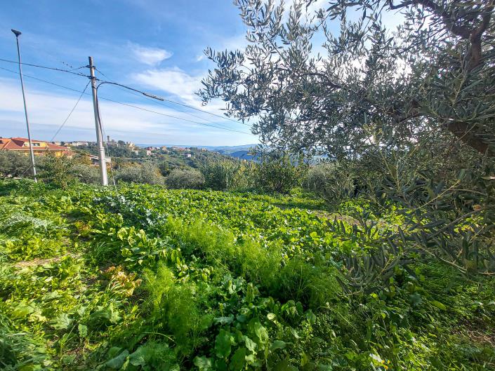 Image No.12-3 Bed Country House for sale