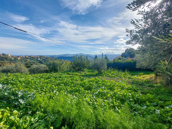 Image No.13-3 Bed Country House for sale