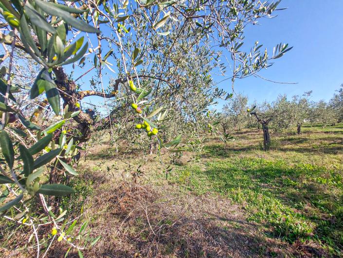 Image No.54-2 Bed Country Property for sale