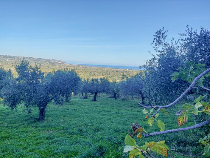 Image No.8-2 Bed Country Property for sale