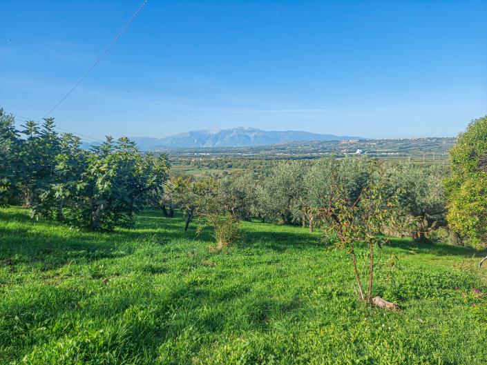 Image No.10-2 Bed Country Property for sale