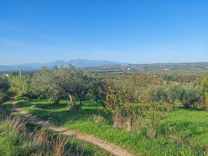 Image No.58-2 Bed Country Property for sale