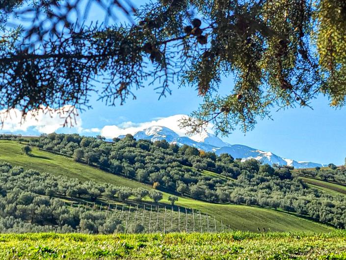 Image No.2-Propriété de pays de 2 chambres à vendre à Sant' Eusanio Del Sangro