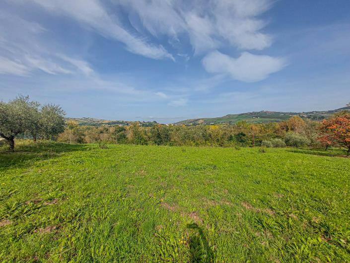 Image No.5-Land for sale