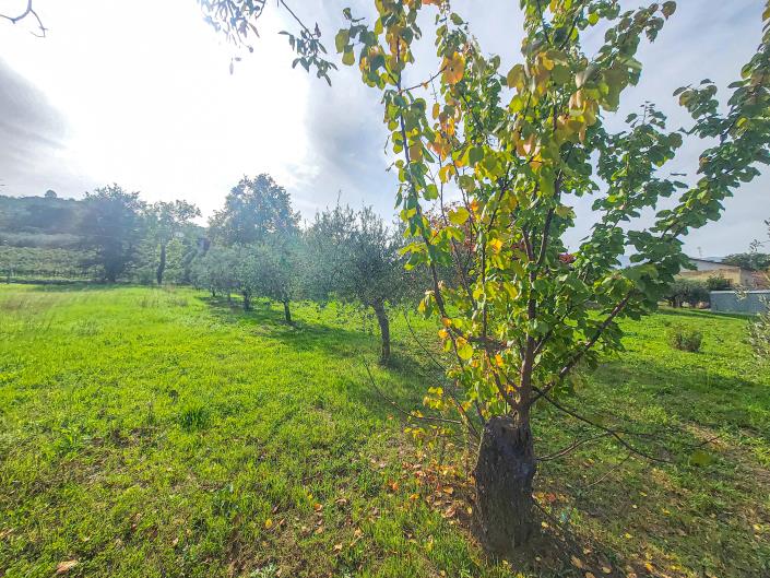 Image No.15-Land for sale