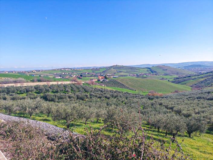 Image No.1-Terre à vendre à Sant' Eusanio Del Sangro