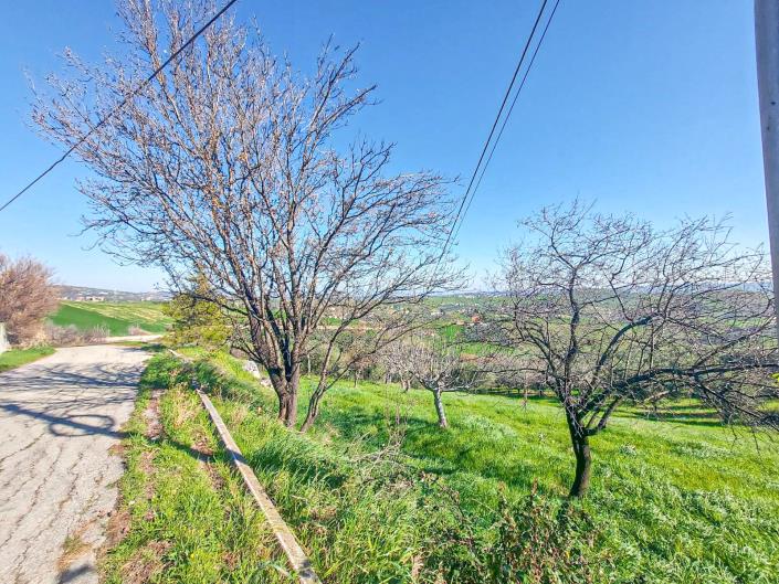 Image No.7-Terre à vendre à Sant' Eusanio Del Sangro
