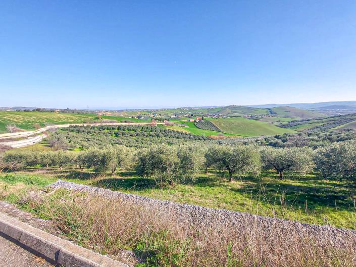 Image No.8-Terre à vendre à Sant' Eusanio Del Sangro