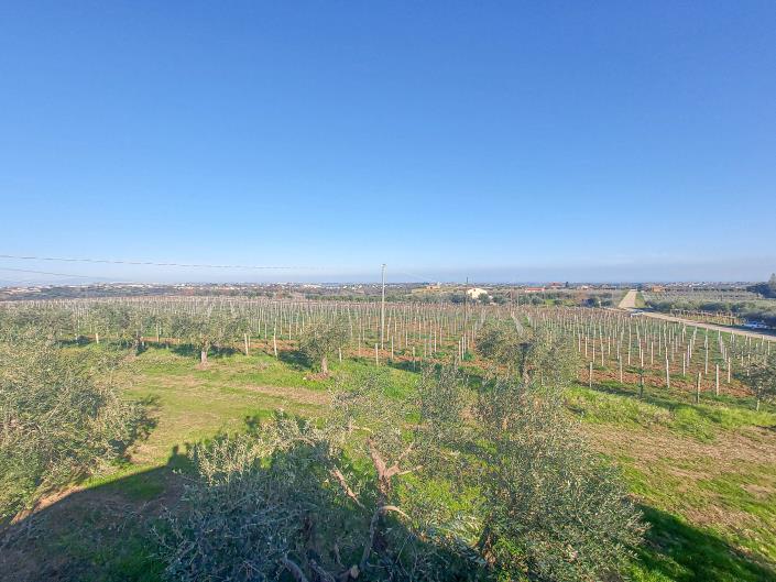 Image No.48-2 Bed Villa for sale