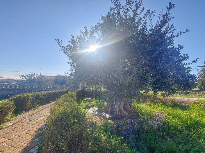 Image No.57-2 Bed Villa for sale