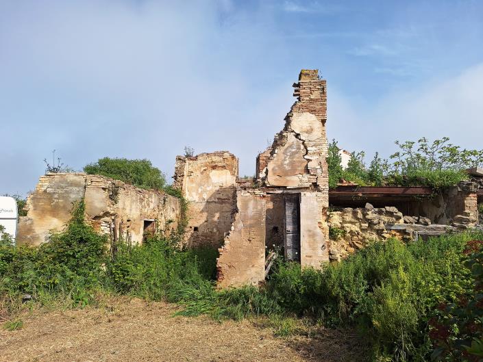 Image No.2-Terrain à vendre à Torino di Sangro