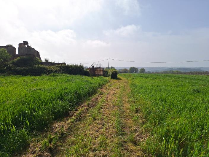 Image No.4-Terrain à vendre à Torino di Sangro