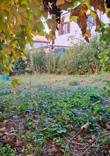 Image No.28-2 Bed Semi-Detached for sale