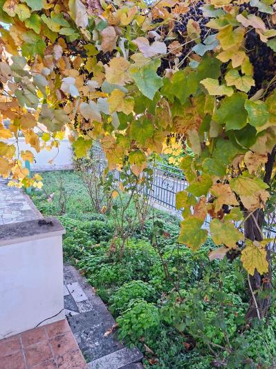 Image No.6-2 Bed Semi-Detached for sale