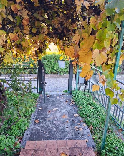 Image No.8-2 Bed Semi-Detached for sale