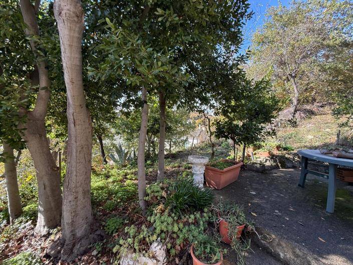 Image No.4-3 Bed House/Villa for sale