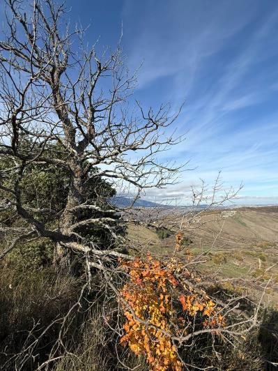 Image No.23-3 Bed House/Villa for sale