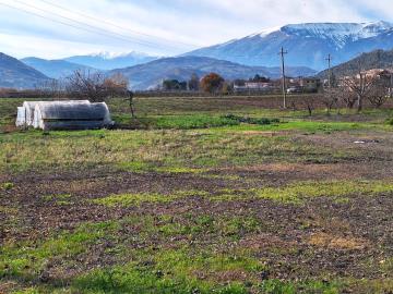 WhatsApp-Image-2025-12-15-at-11-48-36--1-