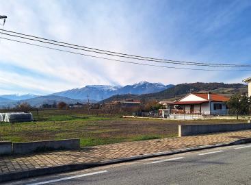 WhatsApp-Image-2025-12-15-at-11-48-37--1-