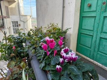 WhatsApp-Image-2026-01-16-at-12-54-11--2-