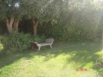 11-20939a0134ad724a8cb2a801094d15a4