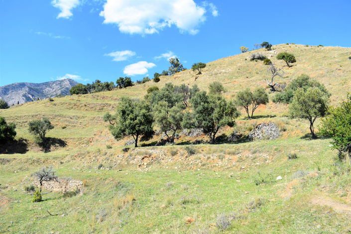 Image No.2-Plot for sale