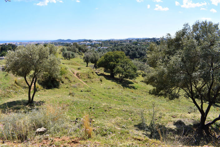 Image No.3-Terrain à vendre à Mijas