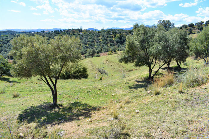 Image No.4-Terrain à vendre à Mijas