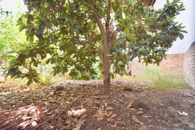 2-5bd7b9d04b45e33852eaf0ec6670150d