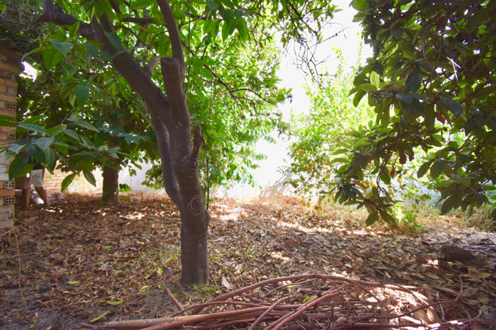 Image No.3-Plot for sale