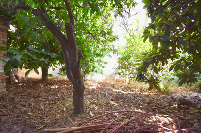 3-e898b2bb2a2fdfd06d2c39894dce8316